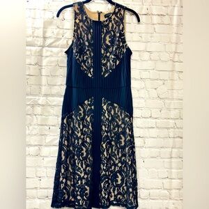 The Limited Navy Sleeveless Lace Dress | Size 8